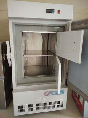 Ultra Low Temperature Refrigerator Vertical 540×615×1115