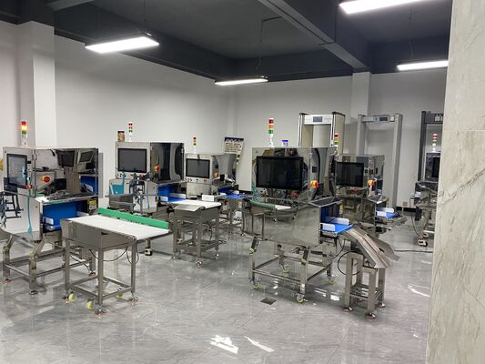 Industrial X-Ray Inspection Machine | One Ray Foreign Object Detector | Customizable Metal & Contaminant Tester for Food